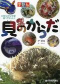【図鑑】貝のからだ