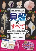 【図鑑】みんなが知りたい！貝殻のすべて