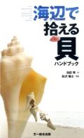 【図鑑】海辺で拾える貝ハンドブック