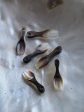 シェルビーズ-フォーク(クロチョウガイ)【約5×15mm/1個】[メール便可] まとめ買い10%OFF #1116 En: Shell Beads -Black MOP 貝殻