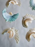 シェルパーツ-鳥(夜光貝)【約25×30mm/1個】[メール便可]まとめ買い10%OFF #1264 En: Shell parts -green turbo snail-