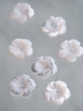 シェルビーズ -ハイビスカス ピンク(タカセガイ)【約12mm/1個】[メール便可]まとめ買い10%OFF #1003 En:Shell beads -Trocus