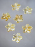 シェルビーズ -プルメリア イエロー(シロチョウガイ)【約12mm/1個】[メール便可]まとめ買い10%OFF #1007 En:Shell Beads -White MOP 貝殻