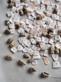 シェルビーズミックス No.12【約0.5～1.0cm/約30g】 [メール便可-20袋まで]En:Shell Beads 貝殻