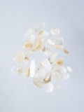 シェルフレーク ナチュラル(淡水真珠貝)【約3～10mm(約2g)】#2053[メール便可]まとめ買い20%OFF