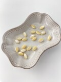 タカセガイ - オーバルビーズ【約8×4mm/約13個・約10cm】[メール便可]まとめ買い10%OFF #288 En:Trocus - Shell Beads