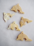 イルカ-51-(シロチョウガイ）【約2.0～2.3cm/1枚】[メール便可]まとめ買い10%OFF  En:  Shell accesorry -dolphine- WMOP 貝殻