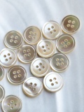 貝ボタン タカセガイ 11.5ｍｍ [メール便可] En:Shell button trocus