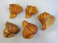 シロニシ【約5～6ｃｍ/5個入】 En: Turnip-shaped Rapana(Size:6-8cm, per 1pc) 貝殻