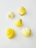 ビリドリアスタータ【約1.5～2.5ｃｍ/5個】　[メール便可-28袋まで]    En: Yellow striped land snail (size:1.5-2.5cm, per 5pcs)