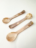 シェルスプーン #3003【約12ｃｍ】 En:Shell Spoon (size:approx.12cm)