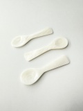 シェルスプーン #3023【約8ｃｍ】 En:Shell Spoon (size:approx.8cm)