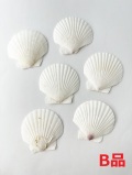 ■メール便可(12袋まで)■ホタテガイＢ品【約5ｃｍ/10枚】En: Japanese Scallop B-grade (size:5cm, per 10pcs)