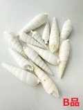ナガタケノコB品【約5～7ｃｍ/約100ｇ】[メール便可-6袋まで]En: Rhinoclavis fasciata B grade (Size:5-7cm, per 100g) 貝殻