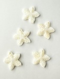 シェルビーズ-ヒトデ(淡水真珠貝)【約25mm/1個】[メール便可]まとめ買い10%OFF #1039 En:Shell beads -Freshwater pearl MOP