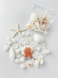 スモールシェルパック　Type A　【約1～7ｃｍ/1個】[メール便可-6袋まで]　 En: Small shell pack type-A (size:1-7cm, per 1pac) 貝殻