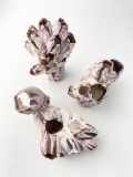 フジツボ【約10～12cm/1個】 En: Barnacles (size:10-12cm, per 1pc)