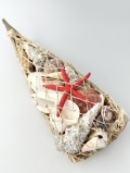 貝殻詰め合わせ-舟型-【舟サイズ約30ｃｍ/1個】  En: Shells in ship (Size:30cm, per 1pc) 貝殻