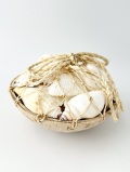 ホワイトシェル詰め合わせ（ネット入）【12ｃｍ前後/1個】En: White shell pack with coconuts plate (plate size:12cm, per 1pc) 貝殻
