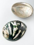 ダークグリーンアバロン 磨き【11ｃｍ前後/1枚】  En: Abalone polished- dark green (Size:11cm, per 1pc)