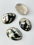 ダークグリーンアバロン 磨き【5ｃｍ前後/1枚】  En: Abalone polished- dark green (Size:5cm, per 1pc)