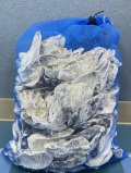 海外産 牡蠣殻(カキ殻)【約5ｋｇ】【約9～12ｃｍ】♪便利なネット入り！♪    En: oyster in net bag(Size:9-12cm, per 5kg)
