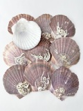 ホタテガイフラット【約8.5ｃｍ/10枚】[メール便可-2袋まで]　En: Japanese Scallop Flat(size:8.5cm, per 10pcs) 貝殻