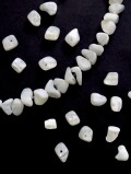 シェルビーズ - さざれ(タカセガイ)【約5-10mm/約10cm(約20個)】 [メール便可]まとめ買い10%OFF #111