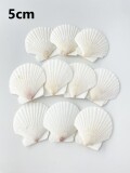 ホタテガイ【約5ｃｍ/10枚】[メール便可-12袋まで]En: Japanese Scallop(size:5cm, per 10pcs)