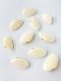 ヒメニッコウガイ両面【4ｃｍ前後/10個入】[メール便可-6袋まで]  En:Tellinella staurella pair (size:approx.4cm, per 10pcs)