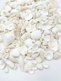 7月のお買い得 [20%OFF]ホワイトシェルミックス【約1～5ｃｍ/500ｇ】　[メール便可-1袋まで] 貝殻