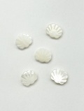 シェルビーズ - ホタテ(シロチョウガイ)【約11×12mm/1個】[メール便可]まとめ買い10%OFF #2187 En:Shell Beads -White MOP- 貝殻
