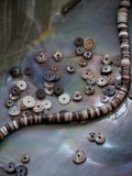 オイスター#13【約0.3～0.6ｃｍ/1本約40ｃｍ】[メール便可-10袋まで]   En:  Shell accesorry Black oyster (Size:0.3-0.6cm, per 1strand-40cm)
