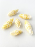 チョウセンフデガイ黄色-小-【約2.0～4.5cm/6本入】[メール便可-16袋まで]  En: Mitra mitra yellow (size:2-4.5cm, per 6pcs)