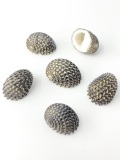 マキミゾアマオブネ【約2～3ｃｍ/10個】[メール便可-8袋まで]   En:Snake-skin Nerite (size:2-3cm, per 10pcs)