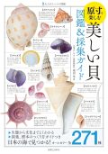 【図鑑】美しい貝図鑑＆採集ガイド　（大人のフィールド図鑑）