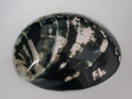 ダークグリーンアバロン 磨き【約13±0.5ｃｍ/1個】  En: Abalone polished- dark green (Size:13±0.5cm, per 1pc)