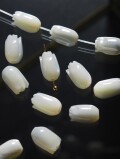 シェルビーズ - チューリップ(タカセガイ)【約11mm/6個】[メール便可] #221 En:Trocus - Shell Beads -tulip (size:11mm・6pcs)