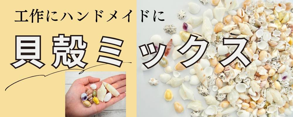 貝殻の問屋さん- 世界の貝殻・自然素材・サンゴ砂を直輸入・卸売通販