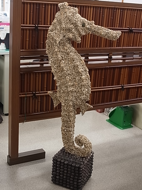 シードラゴン-ナサシェル-【約125ｃｍ/1個】En: seadragon figurine -nassa shell-  (Size:125cm, per 1pc)