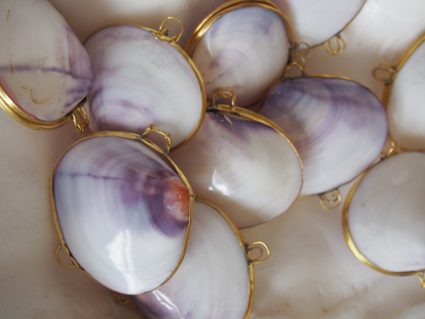 [B品]貝殻の小物入れ-バイオレットクラム磨き-【5cm前後/1個】En:  Shell coin purse -violet clam polished-  (size:approx.5cm, per 1pcs)