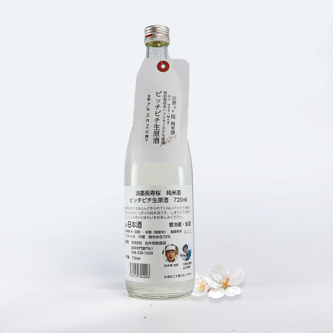 淡墨長寿桜 純米酒 ピッチピチ 生原酒 720ml / 白木恒助商店　※要冷品（クール便配送）