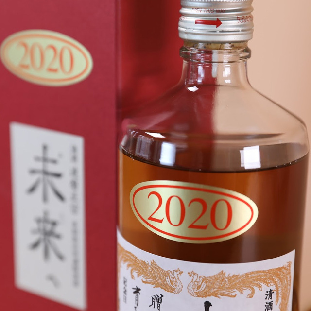 達磨政宗 未来へ