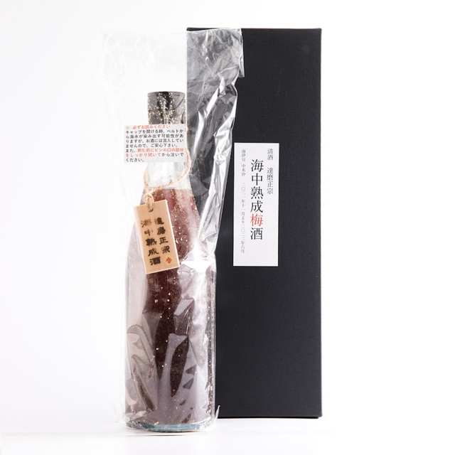 達磨正宗 海中熟成 梅酒