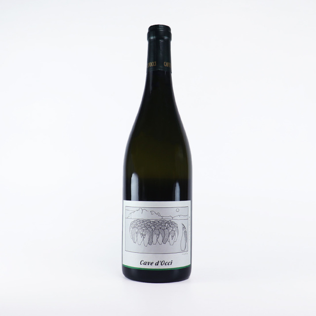 ぺんぎん ケルナー カーブドッチ