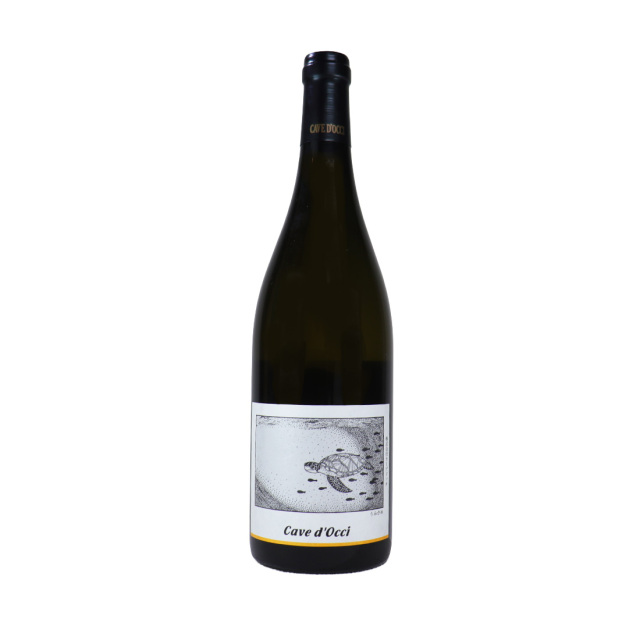 うみがめ 2024 カーブドッチ ワイン