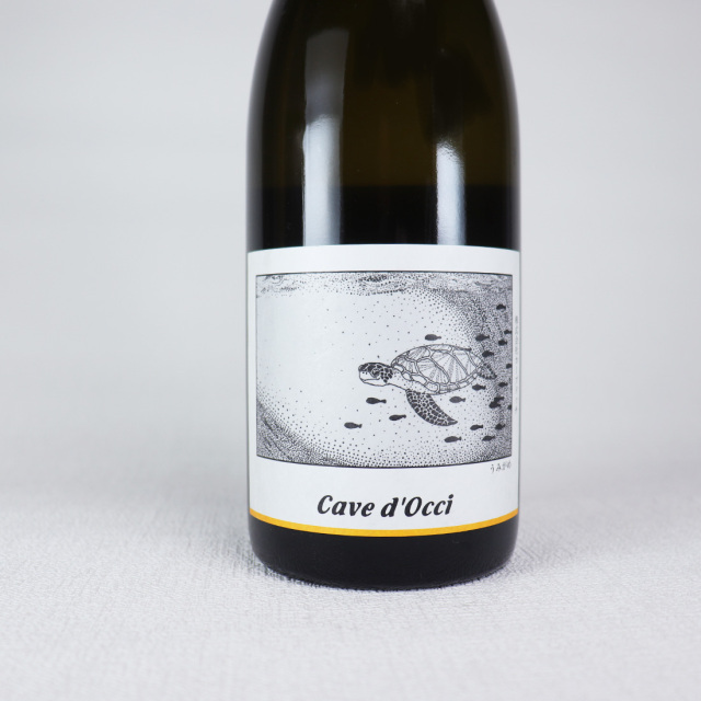 うみがめ 2024 カーブドッチ ワイン