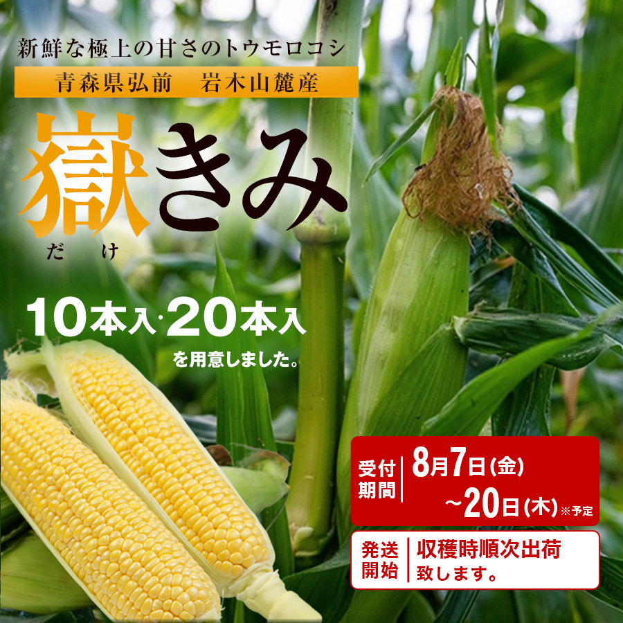 産地直送「嶽きみ」収穫後出荷