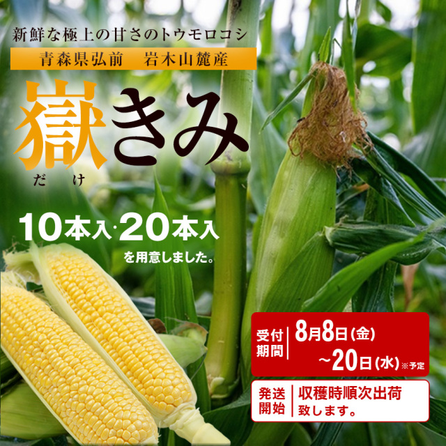 産地直送「嶽きみ」収穫後直ぐ出荷！甘くて甘くておいしい青森県産とうもろこし 【送料無料】