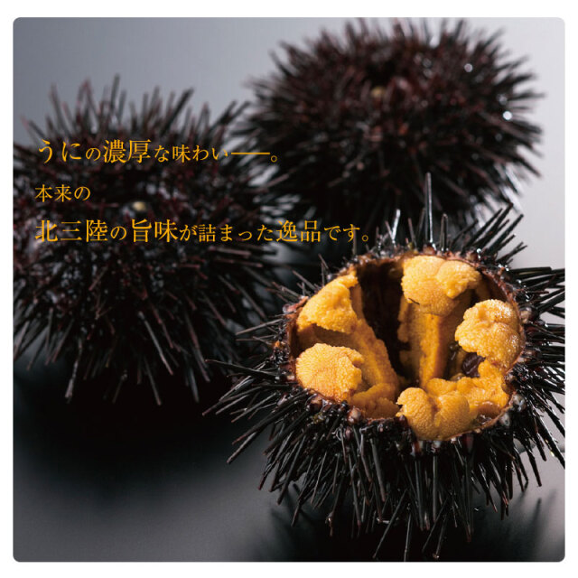 【TVで紹介されました】洋野うに牧場の うにバター